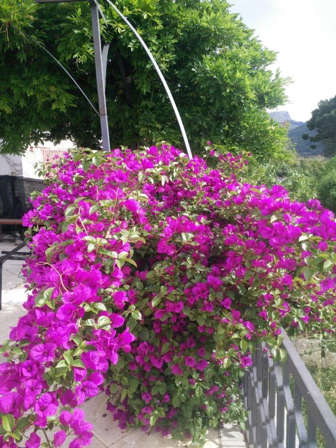 Incantevole Villa Con Vista Mozzafiato Cefalù Dış mekan fotoğraf