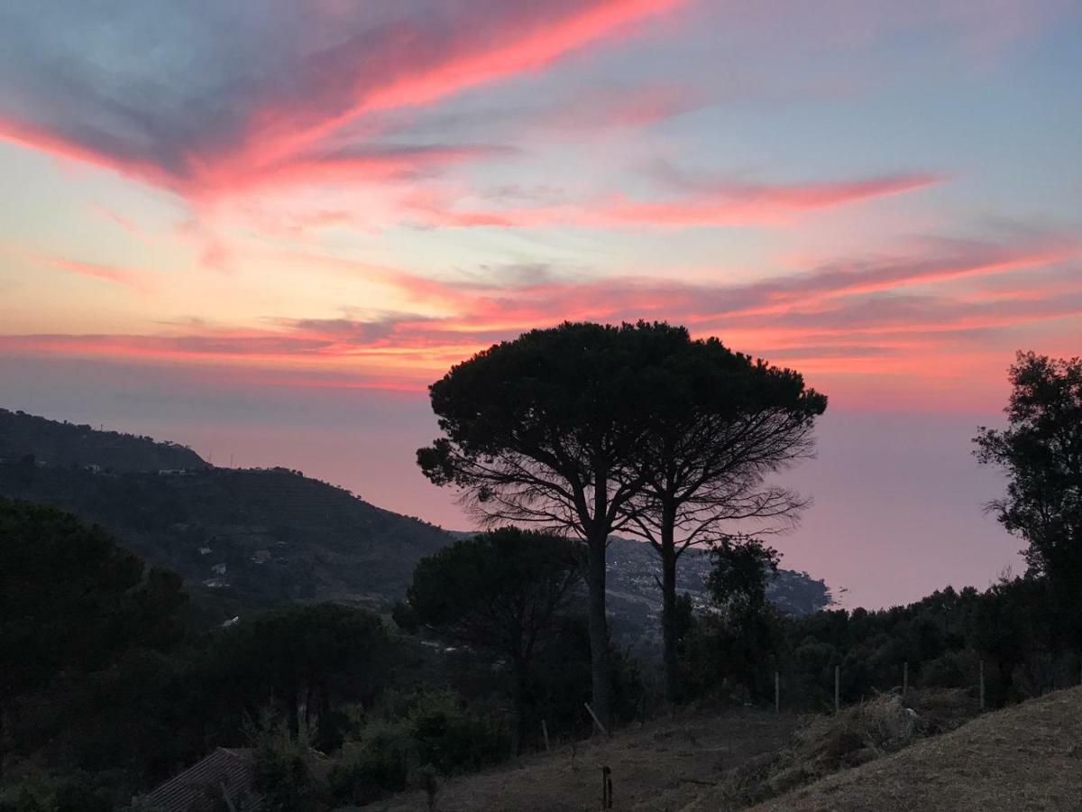 Incantevole Villa Con Vista Mozzafiato Cefalù Dış mekan fotoğraf